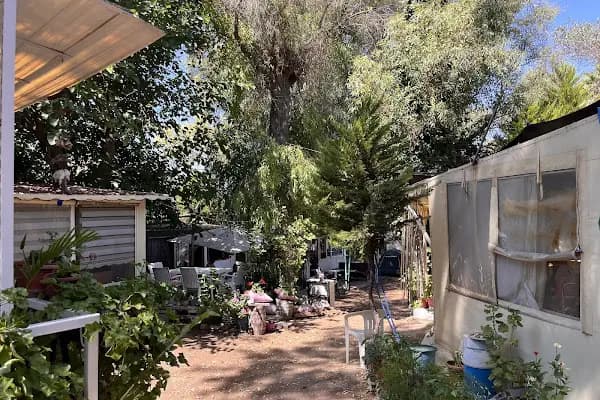 Kaya Camping - Kamp Alanı - Muğla Bodrum