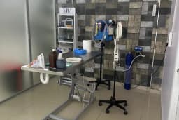 Yazlık Veteriner kliniği