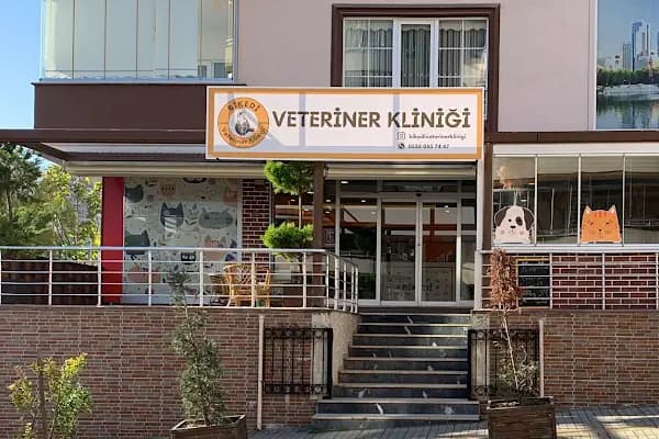 Trabzon Bikedi Veteriner Kliniği - Veteriner - Trabzon Akçaabat