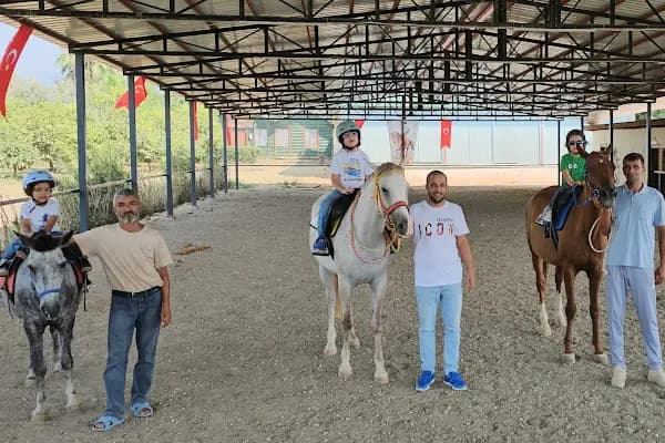 MERSİN BİNİCİLİK - At Binme Hizmeti - Mersin Akdeniz