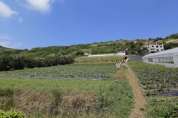 Acısu Solucan - Gübre Tedarikçisi - Trabzon Ortahisar