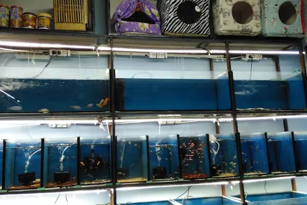Ankara Pet Shop Akvaryum &amp; Evcil Hayvan Ürünleri - Evcil Hayvan Malzemeleri Mağazası - Ankara Sincan