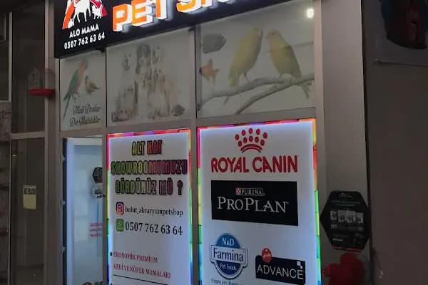 BULUT PET SHOP - Evcil hayvan mağazası - Ankara Altındağ