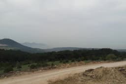 Dedetaşı C Panosu