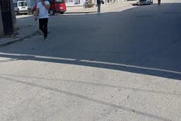 Arı Sitesi