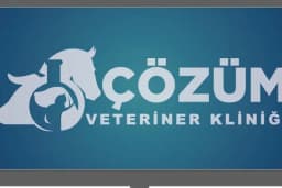 ÇÖZÜM VETERİNER KLİNİĞİ