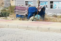 İlhan Eczanesi