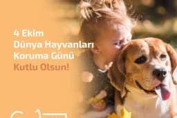 Gk Oyun Atölyesi