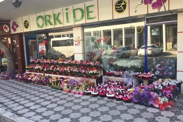 Bergama Orkide Çiçekçilik - Çiçekçi - İzmir Bornova