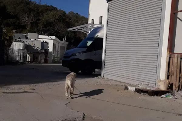 KARSAN LA LORRAİNE DEPO - Kurumsal Ofis - Muğla Akçaalan Mahallesi