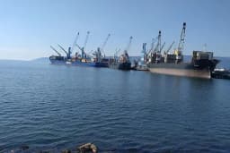 Roda Liman