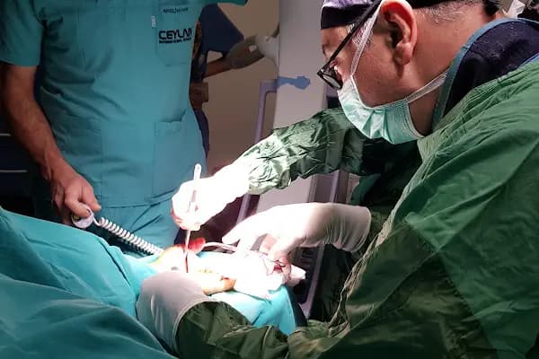 Op. Dr. Fatih Volkan Tercan - Doktor - Bursa Osmangazi