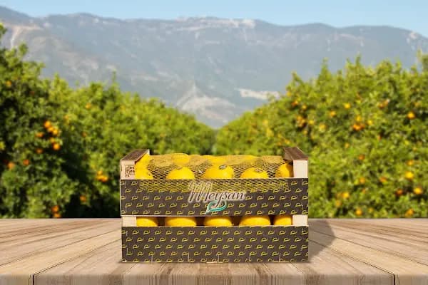 Finike Meysan - Yaş Meyve Sebze Toptancısı - Antalya Finike