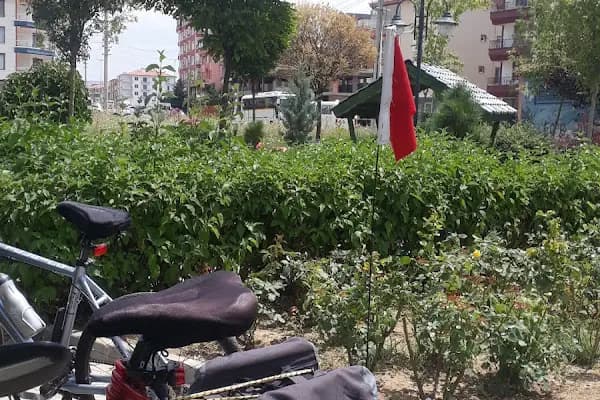 Dr. Atsushi Miyazaki Parkı - Park - Ankara Akyurt