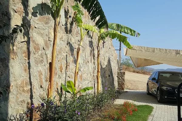 Ceyhun Grup Evleri 1 - Tatil sitesi - Muğla Milas