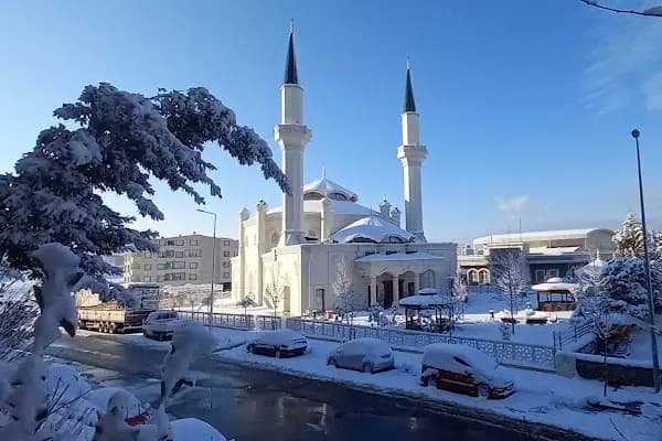 Hacı Perihan Kayar Camii - Cami - Kocaeli Çayırova
