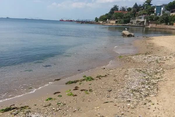 Güzelyalı Plajı - Kumsal - İstanbul Pendik