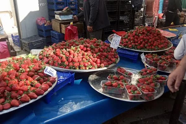Cuma Pazarı - Pazar - Balıkesir Karesi