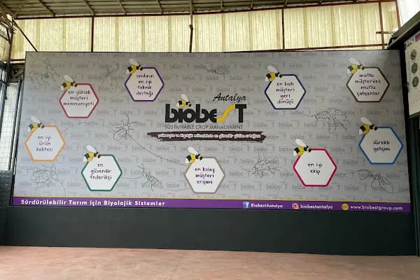 Biobest Aksu Şubesi - Kurumsal Ofis - Antalya Aksu