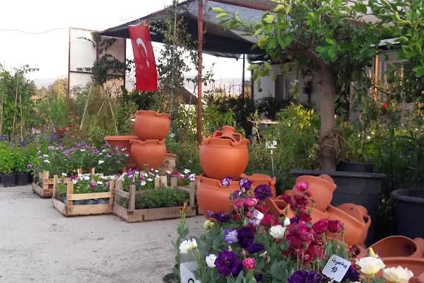 Bodrum Ecofarm Kamp &amp; Bungalow &amp; Karavan - Kamp Alanı - Muğla Bodrum