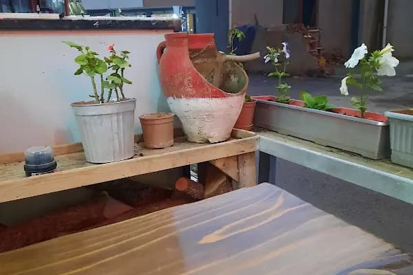 Pide 55 - Restoran - Samsun 19 Mayıs