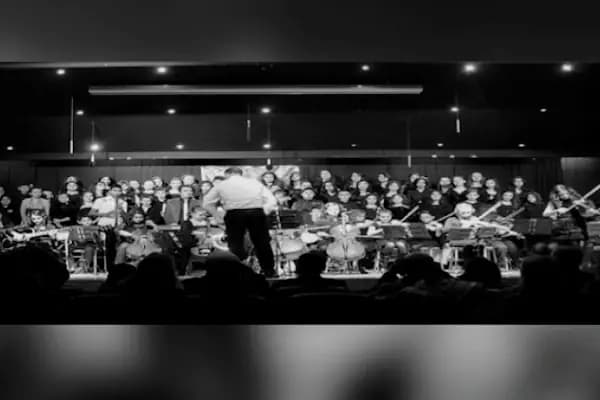 Melodi Sanat Akademisi - Müzik Okulu - İstanbul Büyükçekmece