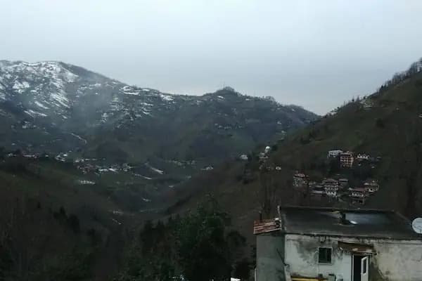Ağaçlı - Yerleşim Yeri - Trabzon Ortahisar