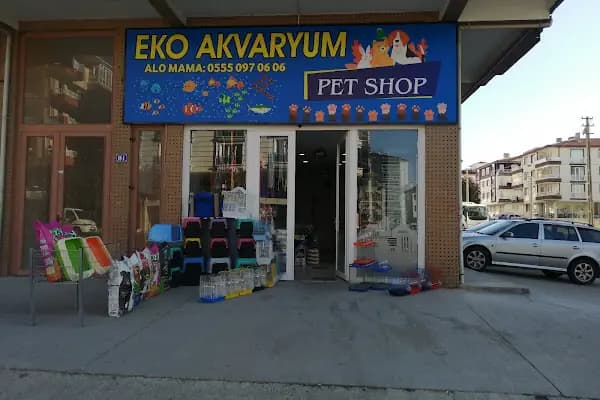 EKO AKVARYUM PETSHOP - Evcil hayvan mağazası - Ankara Beypazarı