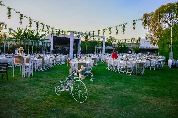 Case De Event - Düğün Hizmeti - İzmir Bornova