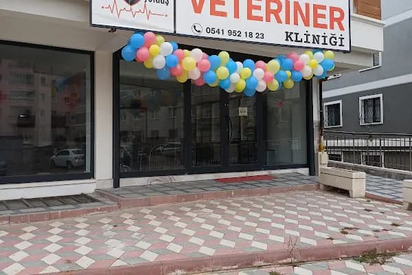 Can Yoldaş Veteriner Kliniği - Veteriner - Ankara Altındağ