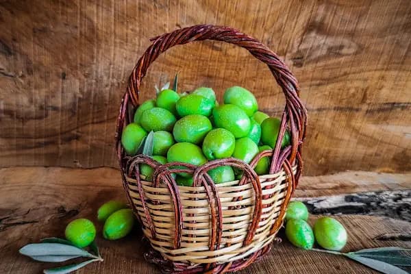 Ham Zeytin - Doğal Gıda Satış Yeri - Bursa Gemlik