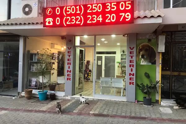 VetCore Veteriner Kliniği - Veteriner - İzmir Çeşme