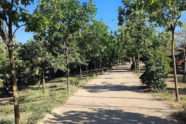 Çağdaşkent Parkı - Park - Kocaeli Çayırova