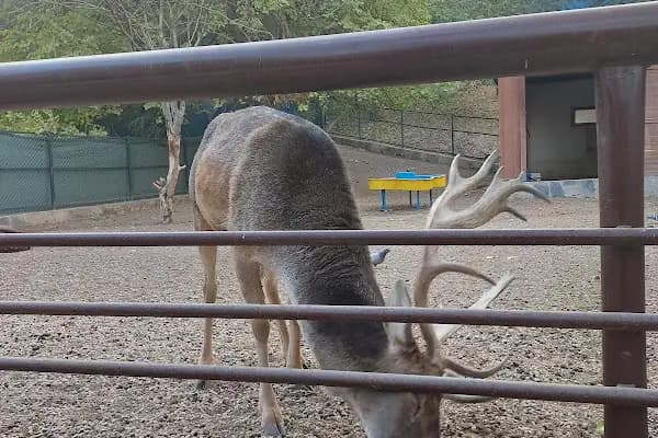Keçiören Atatürk Doğal Yaşam Parkı - Park - Ankara Keçiören