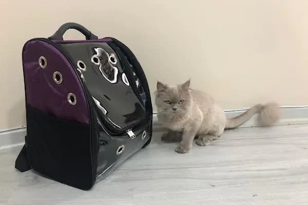 Central Animal Üçkuyular Veteriner Polikliniği - Veteriner - İzmir Çiğli