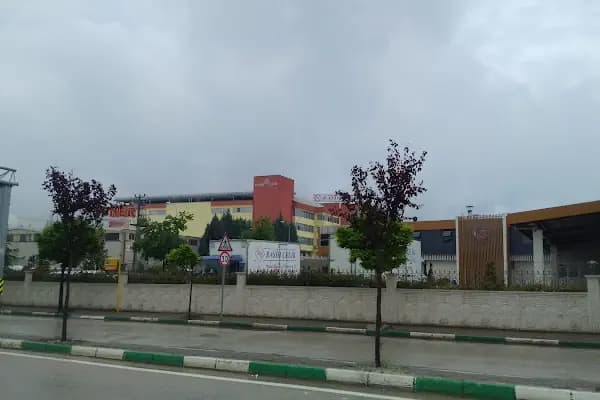 Şener - Gıda Üreticisi - Bursa Kestel