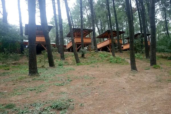 Tayakadın Mesire Yeri - Park - İstanbul Arnavutköy