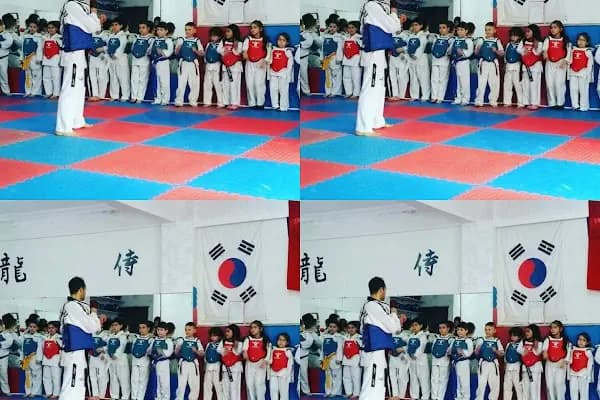 TAEKWONDO KARATE KICK-BOKS KEMPO HAPKİDO UZAK DOĞU SAVUNMA SANATLARIN MERKEZİ - Spor Okulu - İstanbul Ataşehir
