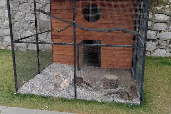 Endemik Vadi - Park - Ankara Pursaklar