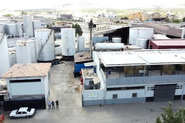 Asnobel Merkez Fabrika - Zeytinyağı Üreticisi - Gaziantep Nizip