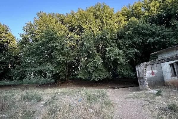 Reis'in Yeri Yüzme Havuzu &amp; Piknik Alanı - Piknik Alanı - Şanlıurfa Bozova