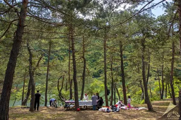 Bentler Tabiat Parkı - Milli Park - İstanbul Bağcılar