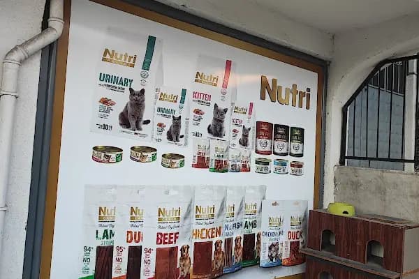Florya Akvaryum Petshop - Evcil hayvan mağazası - Ankara Etimesgut