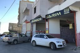 GUNDUZ TARIM LTD. STİ.