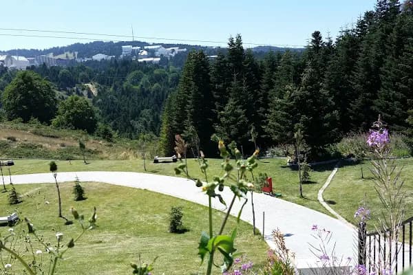 Uludağ sarıalan - Turistik Yer - Bursa Nilüfer