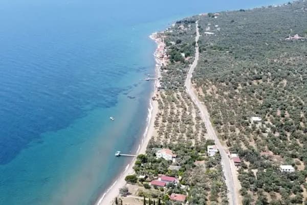 Assos Hekimoğlu Kamping - Kamp Alanı - Çanakkale Ezine