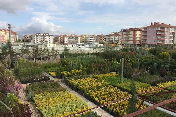 Bitim Peyzaj - Peyzaj Malzemeleri Satıcısı - Konya Selçuklu