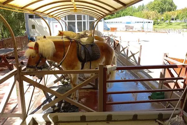 Anfa Altınpark Atlı Spor Tesisleri - At Binme Hizmeti - Ankara Altındağ