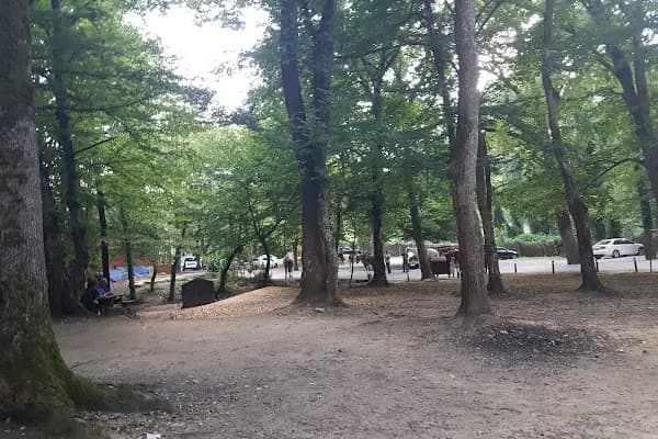 Falih Rıfkı Atay Tabiat Parkı - Ulusal park - İstanbul Sarıyer