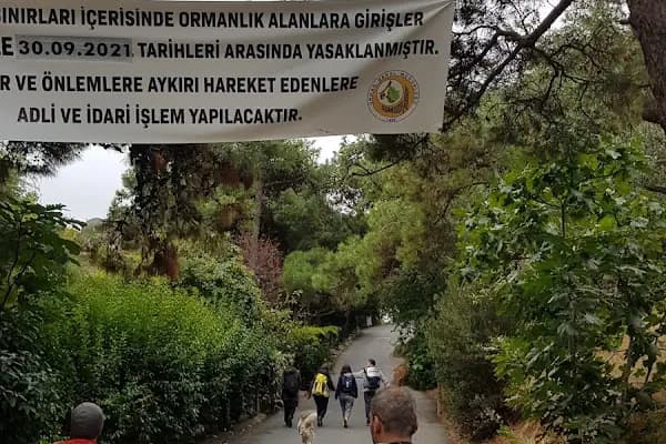 Gönüllü Caddesi - Otobüs Durağı - İstanbul Adalar